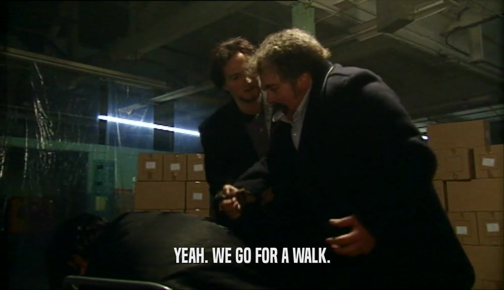 YEAH. WE GO FOR A WALK.  