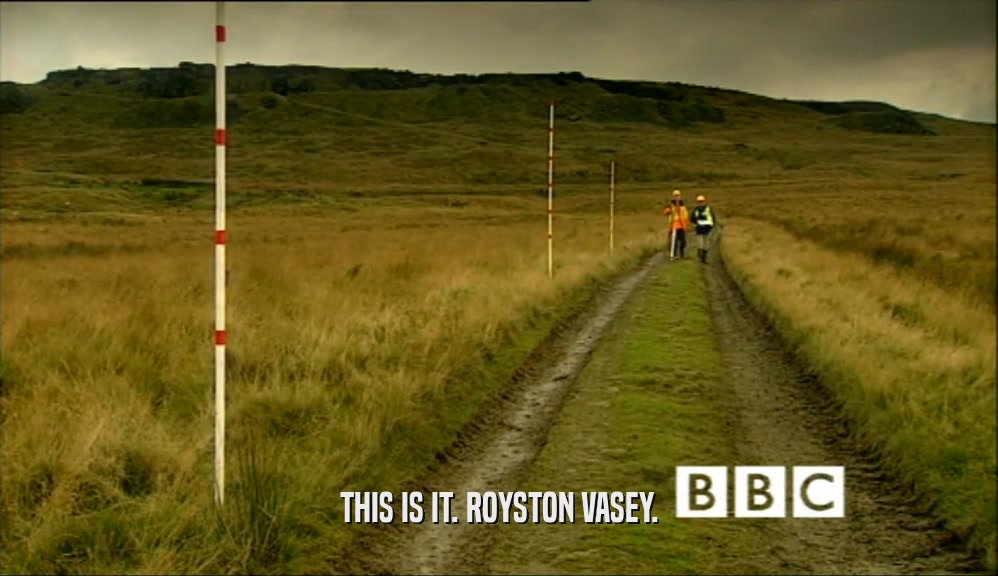 THIS IS IT. ROYSTON VASEY.  