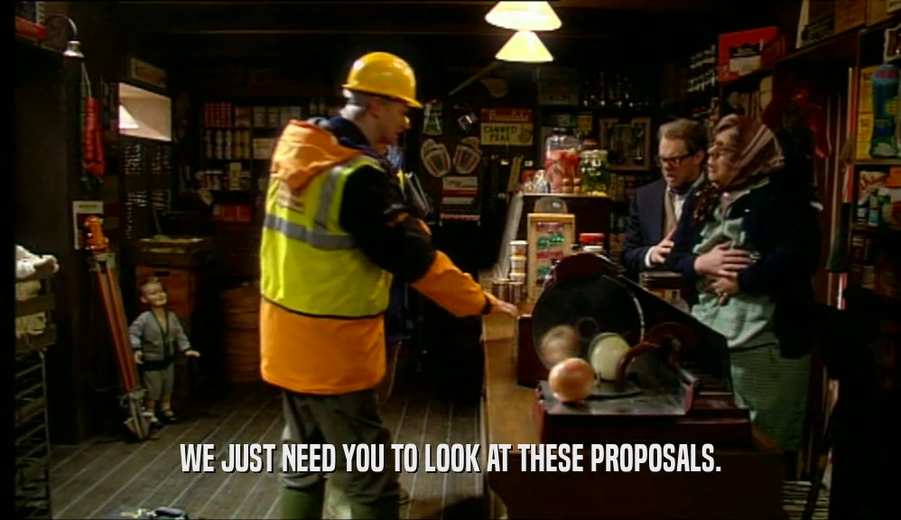 WE JUST NEED YOU TO LOOK AT THESE PROPOSALS.  