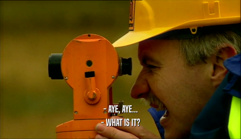 - AYE, AYE... - WHAT IS IT? 