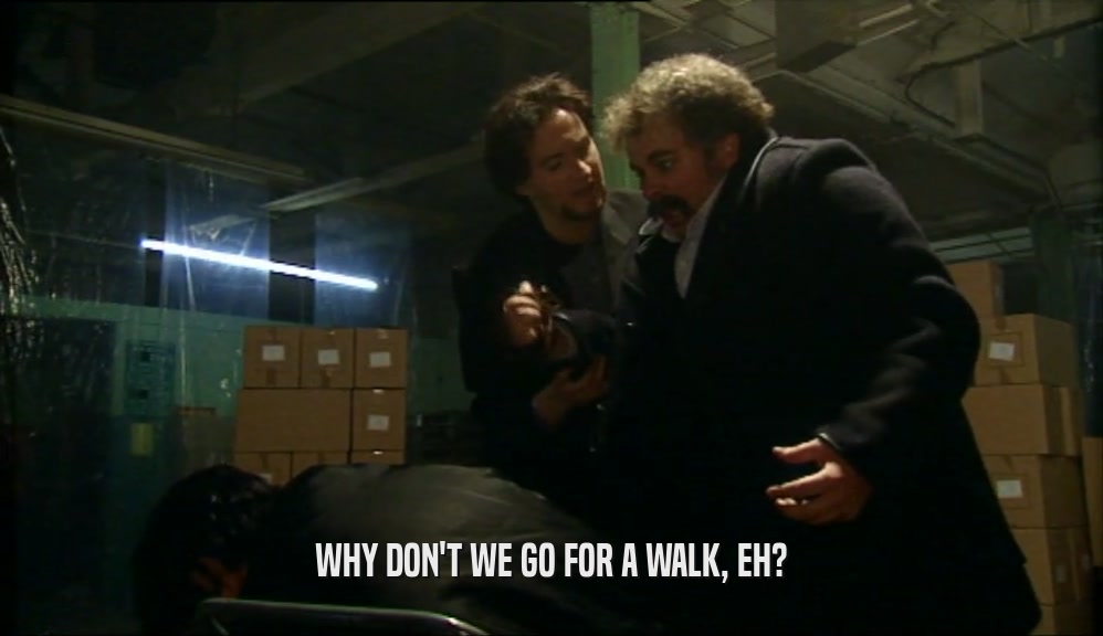 WHY DON'T WE GO FOR A WALK, EH?  