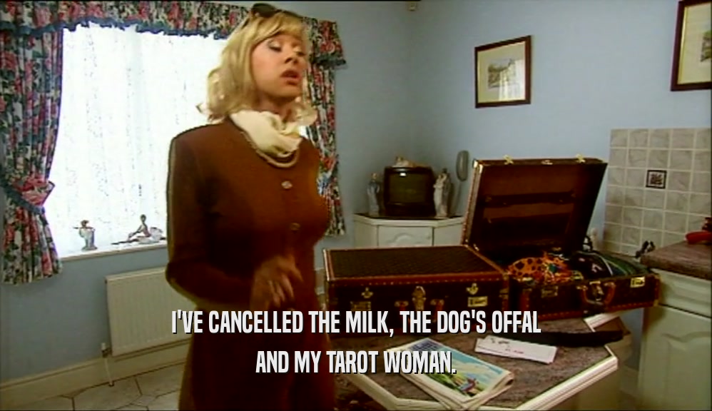 I'VE CANCELLED THE MILK, THE DOG'S OFFAL AND MY TAROT WOMAN. 