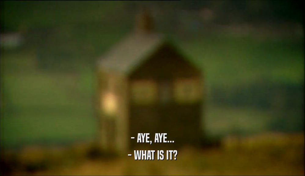 - AYE, AYE... - WHAT IS IT? 