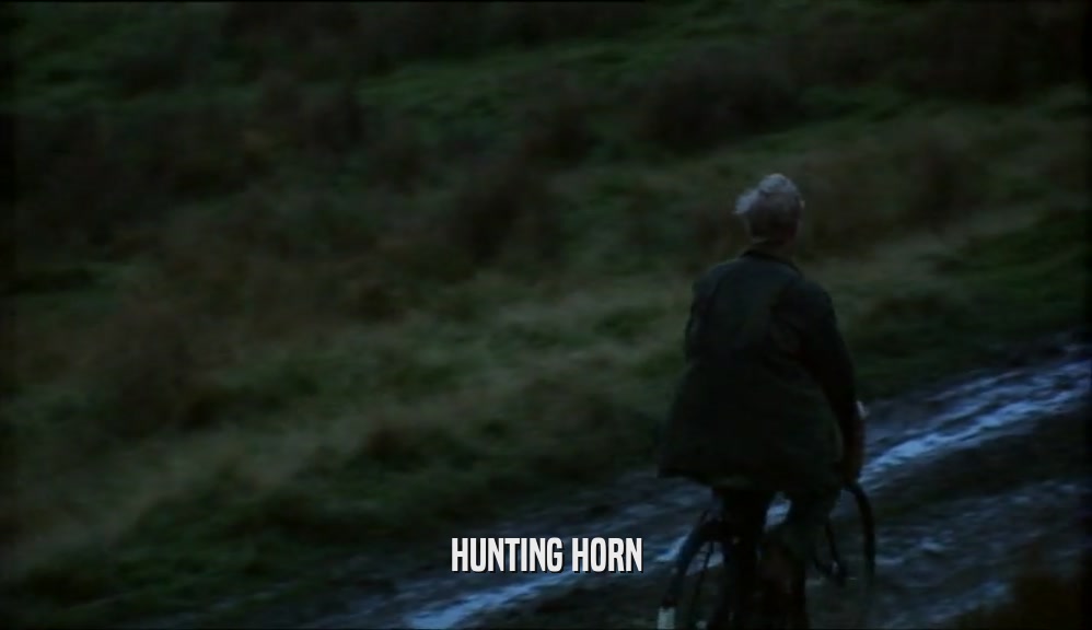 HUNTING HORN  