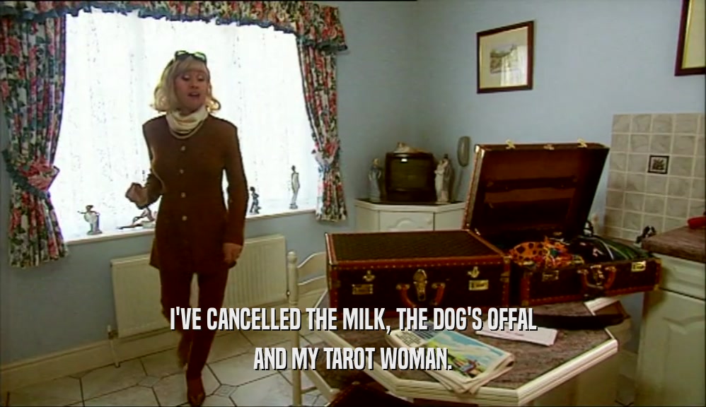 I'VE CANCELLED THE MILK, THE DOG'S OFFAL AND MY TAROT WOMAN. 