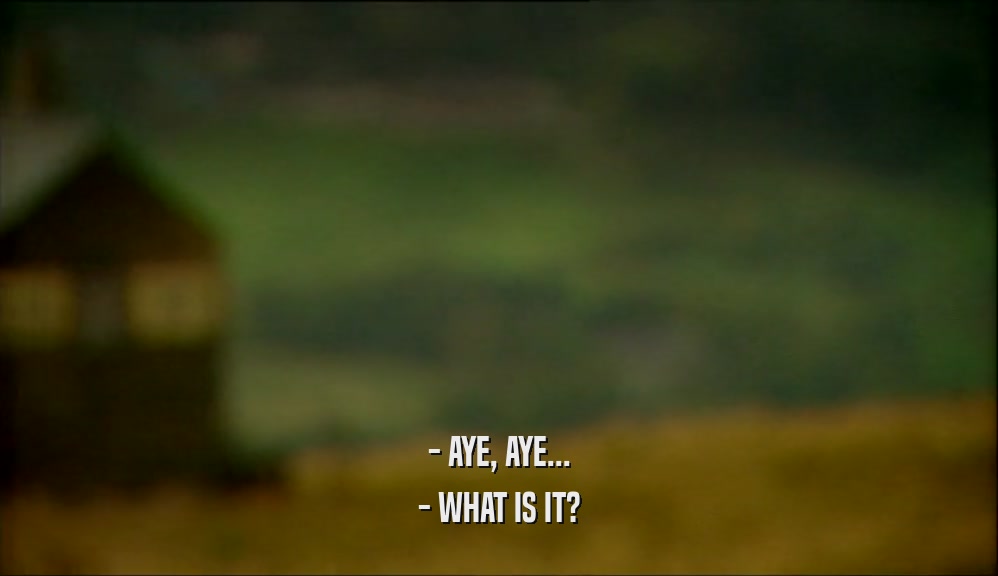 - AYE, AYE... - WHAT IS IT? 
