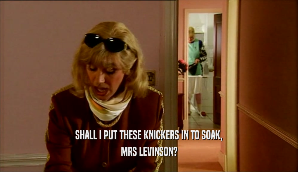 SHALL I PUT THESE KNICKERS IN TO SOAK, MRS LEVINSON? 