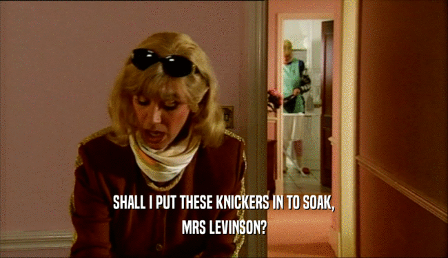 SHALL I PUT THESE KNICKERS IN TO SOAK,
 MRS LEVINSON?
 