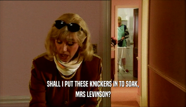 SHALL I PUT THESE KNICKERS IN TO SOAK, MRS LEVINSON? 