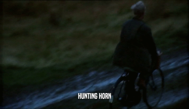 HUNTING HORN
  