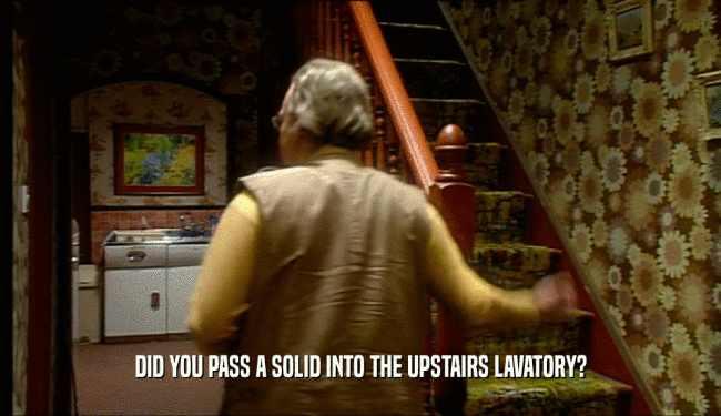 DID YOU PASS A SOLID INTO THE UPSTAIRS LAVATORY?  
