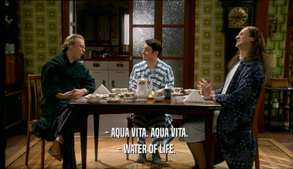 - AQUA VITA. AQUA VITA. - WATER OF LIFE. 
