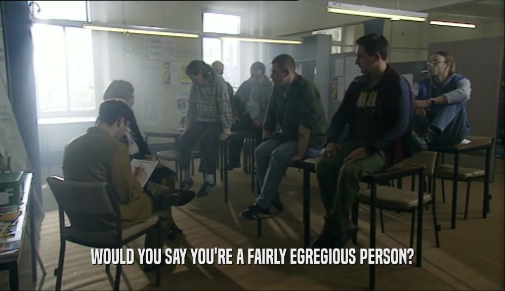 WOULD YOU SAY YOU'RE A FAIRLY EGREGIOUS PERSON?  