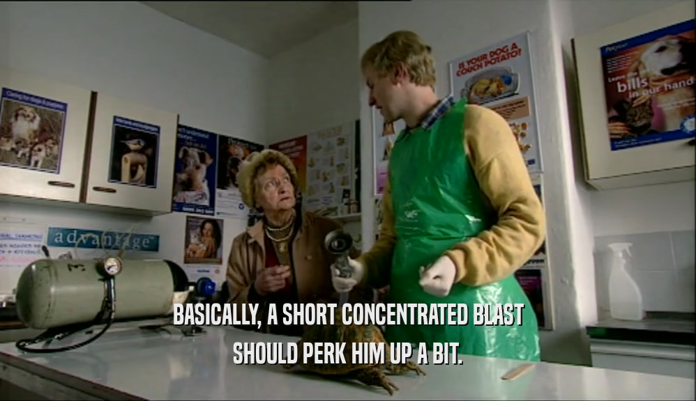 BASICALLY, A SHORT CONCENTRATED BLAST SHOULD PERK HIM UP A BIT. 