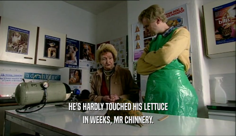 HE'S HARDLY TOUCHED HIS LETTUCE IN WEEKS, MR CHINNERY. 