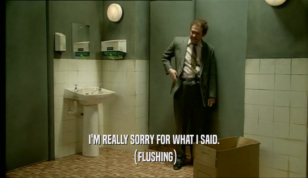 I'M REALLY SORRY FOR WHAT I SAID. (FLUSHING) 