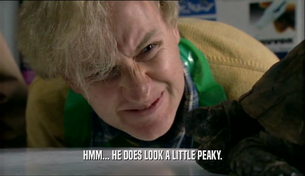 HMM... HE DOES LOOK A LITTLE PEAKY.  