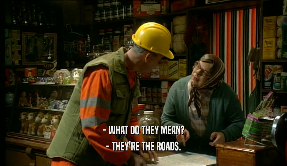 - WHAT DO THEY MEAN? - THEY'RE THE ROADS. 