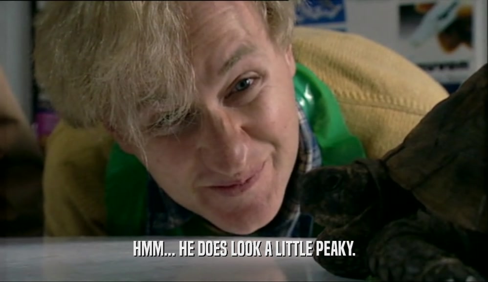 HMM... HE DOES LOOK A LITTLE PEAKY.  
