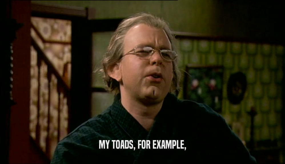 MY TOADS, FOR EXAMPLE,  