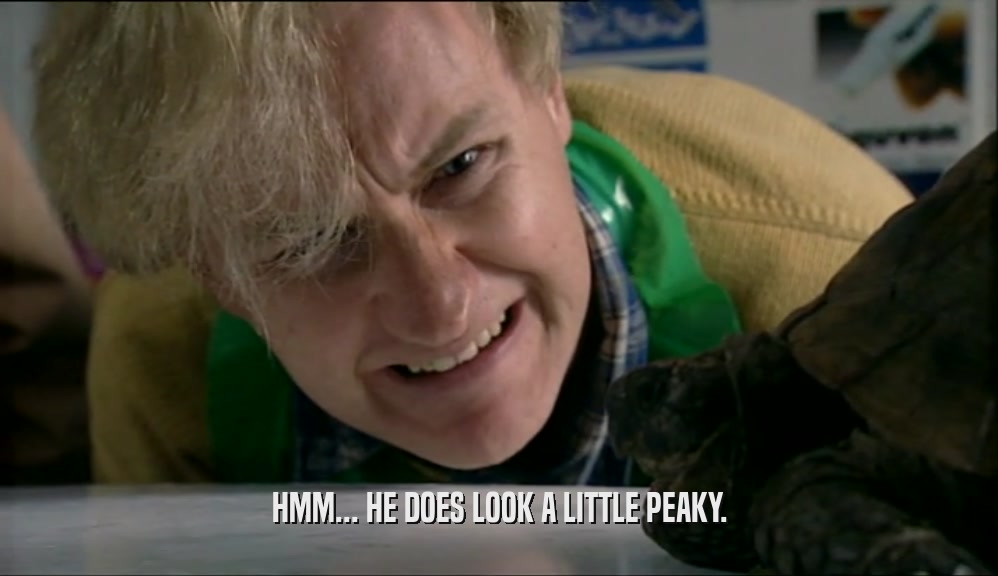 HMM... HE DOES LOOK A LITTLE PEAKY.  