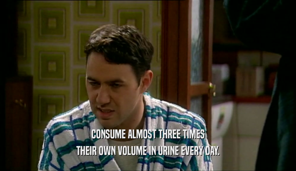 CONSUME ALMOST THREE TIMES THEIR OWN VOLUME IN URINE EVERY DAY. 