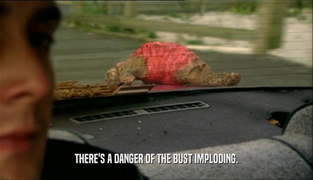 THERE'S A DANGER OF THE BUST IMPLODING.  