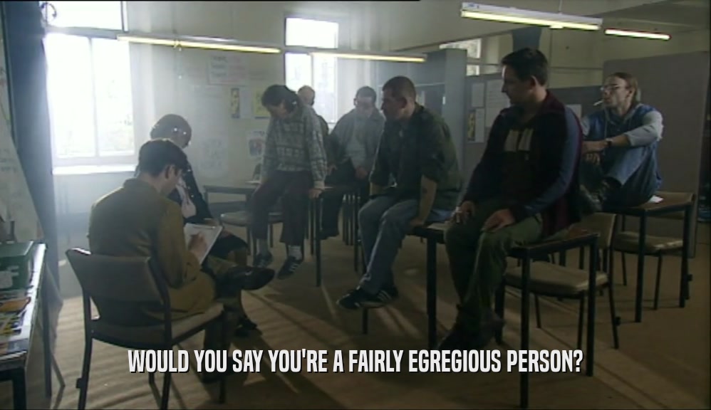 WOULD YOU SAY YOU'RE A FAIRLY EGREGIOUS PERSON?  