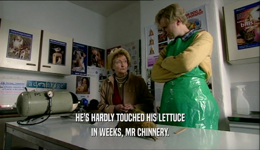 HE'S HARDLY TOUCHED HIS LETTUCE IN WEEKS, MR CHINNERY. 