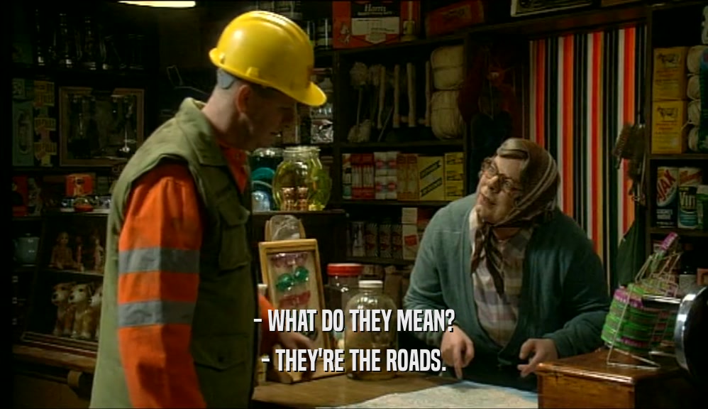 - WHAT DO THEY MEAN? - THEY'RE THE ROADS. 