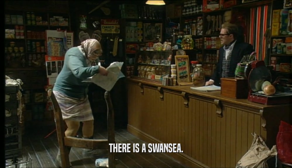 THERE IS A SWANSEA.  