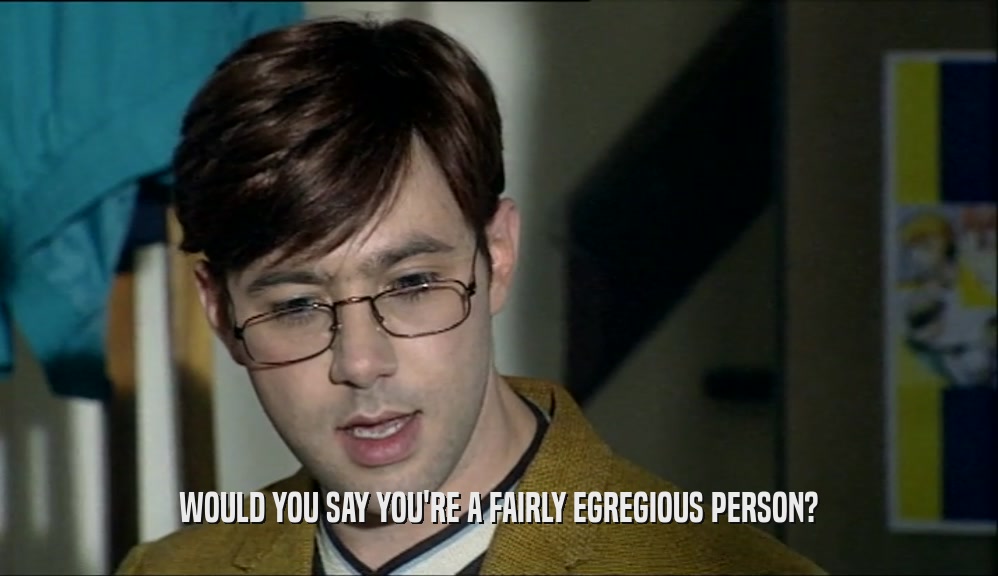 WOULD YOU SAY YOU'RE A FAIRLY EGREGIOUS PERSON?  