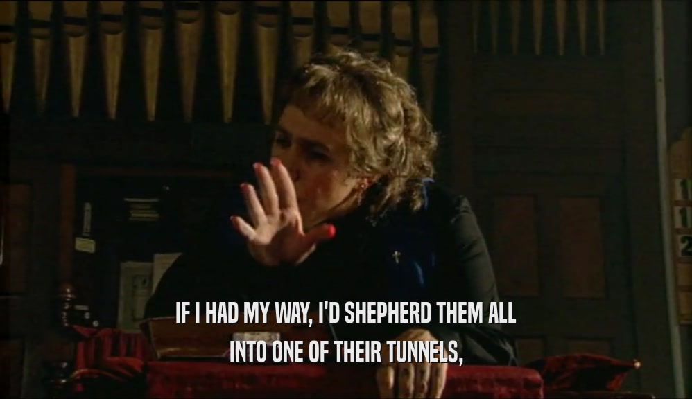 IF I HAD MY WAY, I'D SHEPHERD THEM ALL
 INTO ONE OF THEIR TUNNELS,
 