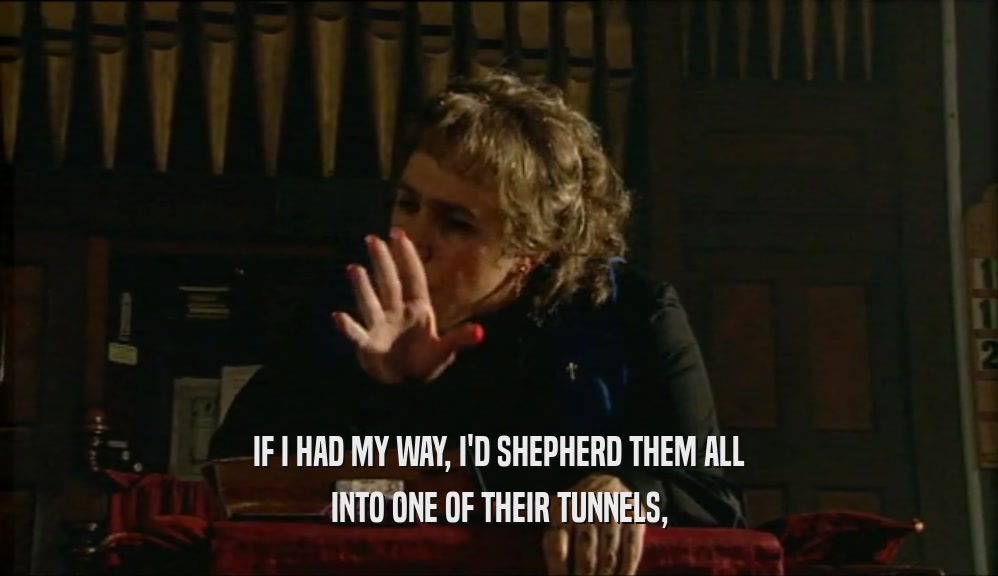 IF I HAD MY WAY, I'D SHEPHERD THEM ALL INTO ONE OF THEIR TUNNELS, 
