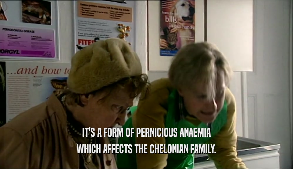 IT'S A FORM OF PERNICIOUS ANAEMIA WHICH AFFECTS THE CHELONIAN FAMILY. 