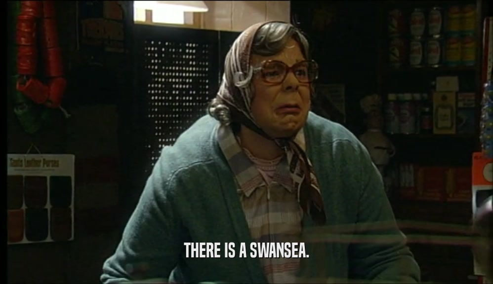THERE IS A SWANSEA.  