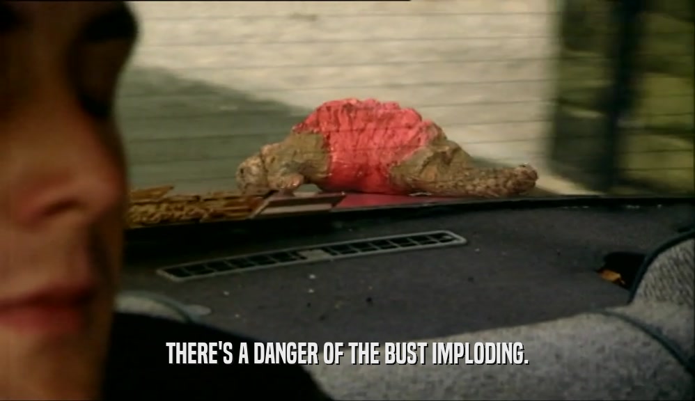 THERE'S A DANGER OF THE BUST IMPLODING.  