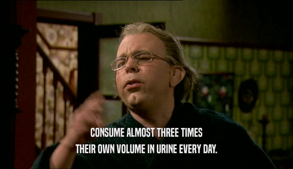 CONSUME ALMOST THREE TIMES THEIR OWN VOLUME IN URINE EVERY DAY. 