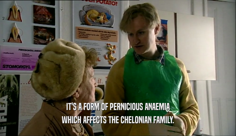 IT'S A FORM OF PERNICIOUS ANAEMIA WHICH AFFECTS THE CHELONIAN FAMILY. 