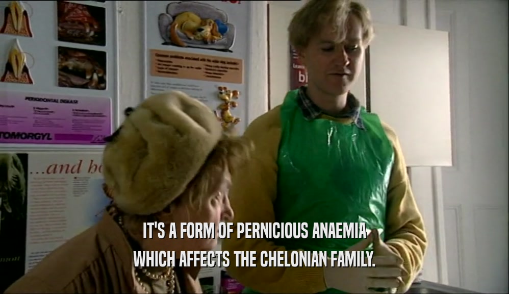 IT'S A FORM OF PERNICIOUS ANAEMIA WHICH AFFECTS THE CHELONIAN FAMILY. 