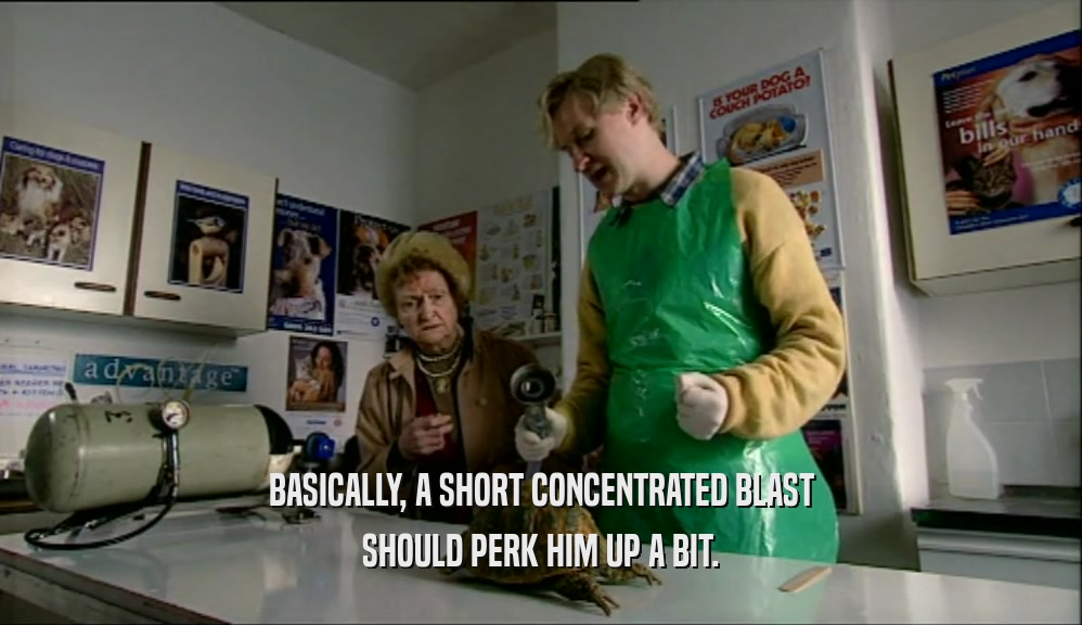 BASICALLY, A SHORT CONCENTRATED BLAST SHOULD PERK HIM UP A BIT. 