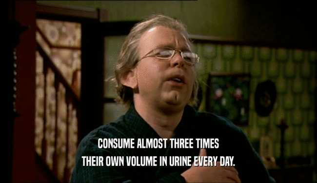 CONSUME ALMOST THREE TIMES THEIR OWN VOLUME IN URINE EVERY DAY. 