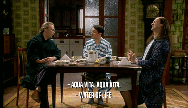 - AQUA VITA. AQUA VITA. - WATER OF LIFE. 