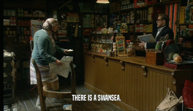 THERE IS A SWANSEA.  