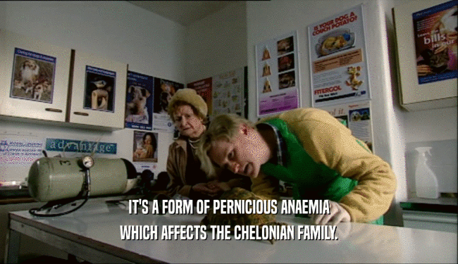 IT'S A FORM OF PERNICIOUS ANAEMIA WHICH AFFECTS THE CHELONIAN FAMILY. 