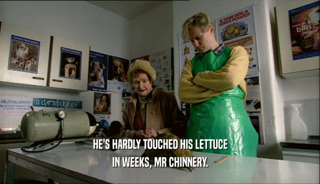 HE'S HARDLY TOUCHED HIS LETTUCE IN WEEKS, MR CHINNERY. 