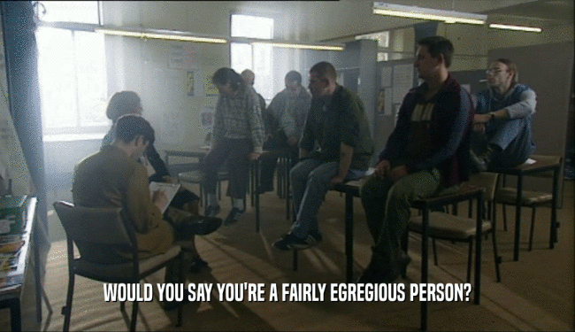 WOULD YOU SAY YOU'RE A FAIRLY EGREGIOUS PERSON?  