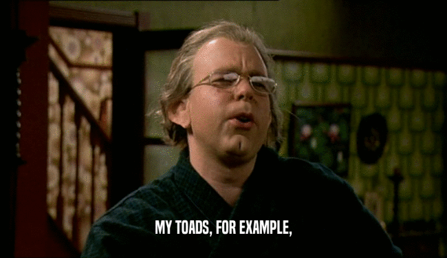 MY TOADS, FOR EXAMPLE,  