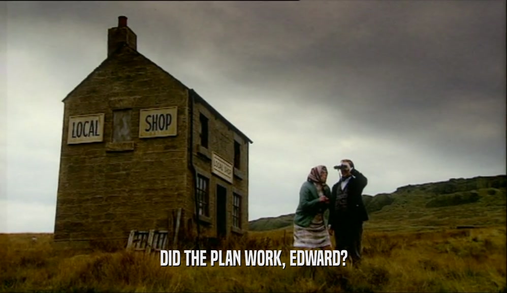 DID THE PLAN WORK, EDWARD?
  