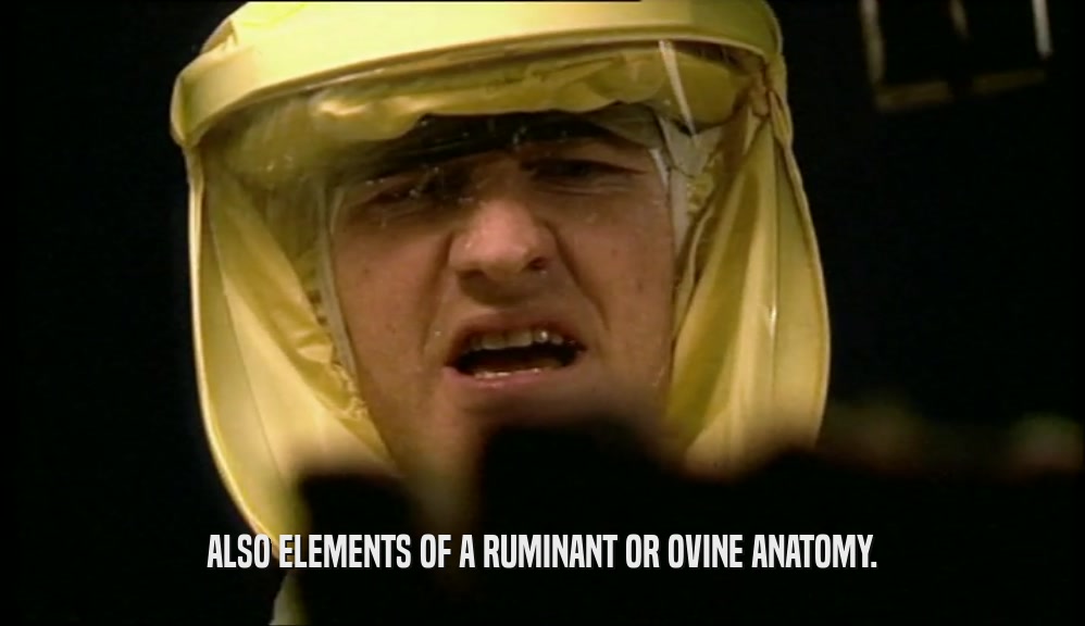 ALSO ELEMENTS OF A RUMINANT OR OVINE ANATOMY.  